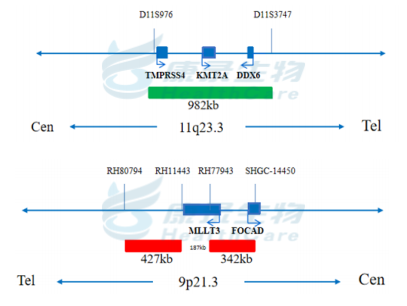 中国·拉斯维加斯(3499·官方认证)网站-Officialwebsite